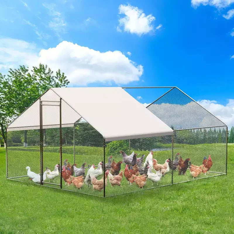 Enclos à volaille grillagé Silver, toit en pointe, porte verrouillable, pour poulets, canards, lapins