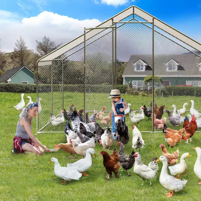 Enclos à volaille grillagé Silver, toit en pointe, porte verrouillable, pour poulets, canards, lapins